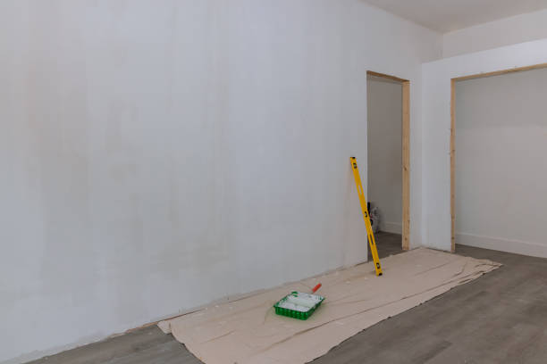 Best Drywall Installation  in Lake Holiday, IN