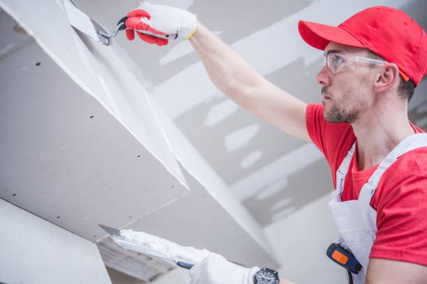 Best Water-Damaged Drywall Repair  in Lake Holiday, IN